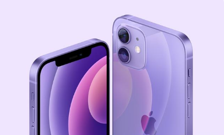 抱由镇苹果手机维修分享紫色版iPhone 12有什么技术亮点 